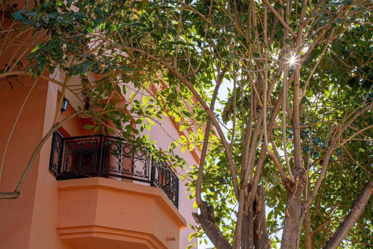 Las Palmeras Guest House Douar Caïd Layadi Exteriör bild