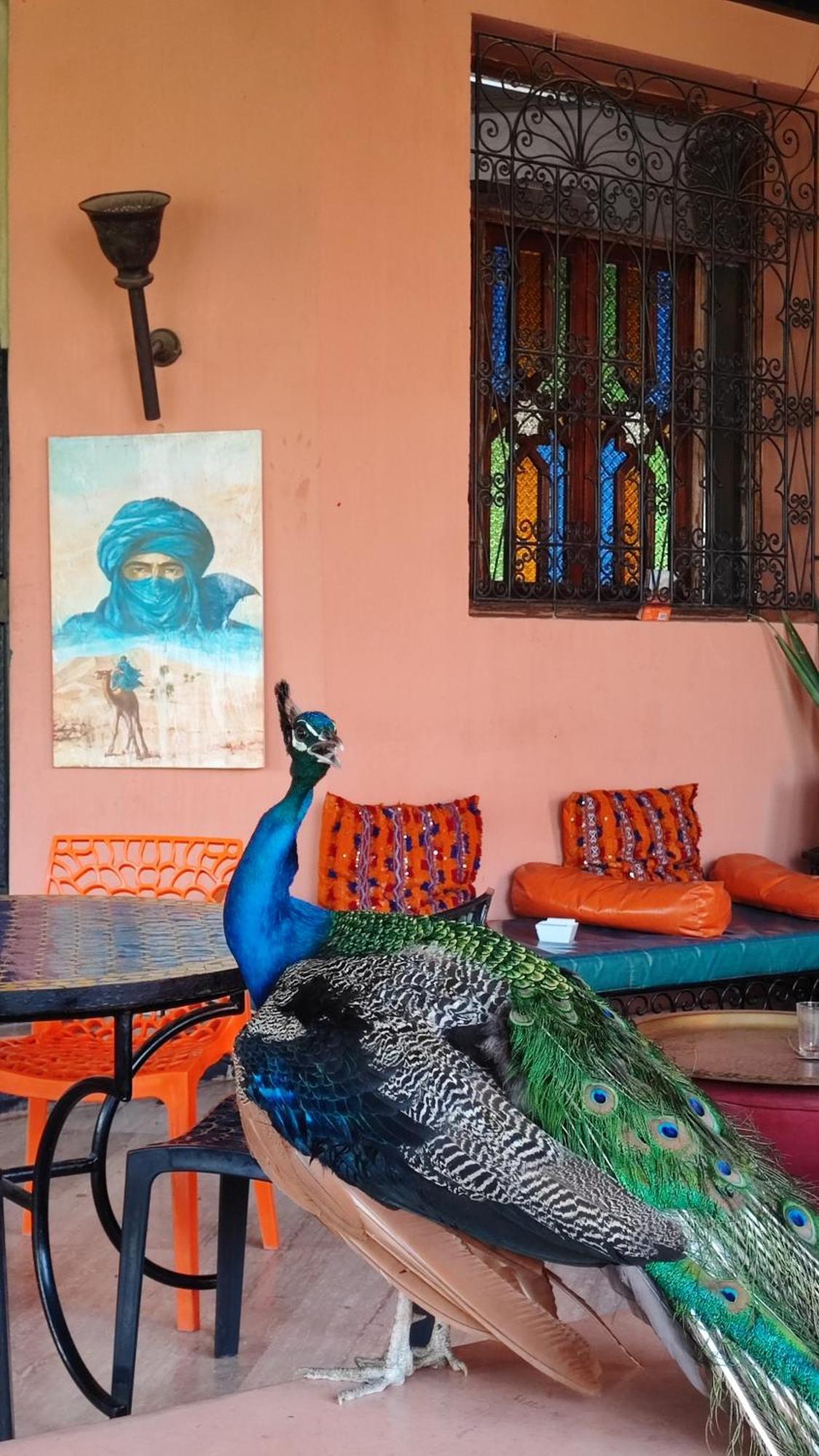 Las Palmeras Guest House Douar Caïd Layadi Exteriör bild